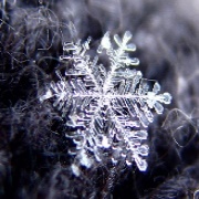 Koch Snowflake